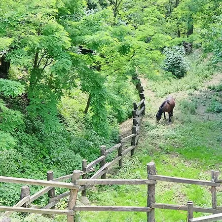 Luci Sul Golfo Pensionat 3*