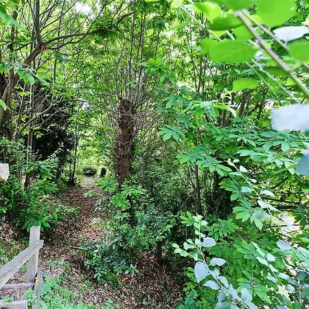 Luci Sul Golfo La Spezia