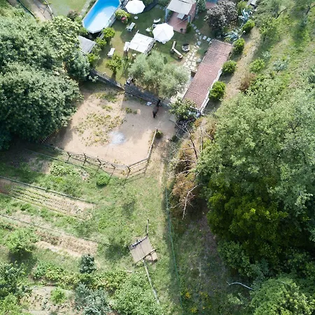 Luci Sul Golfo Pensión 3*